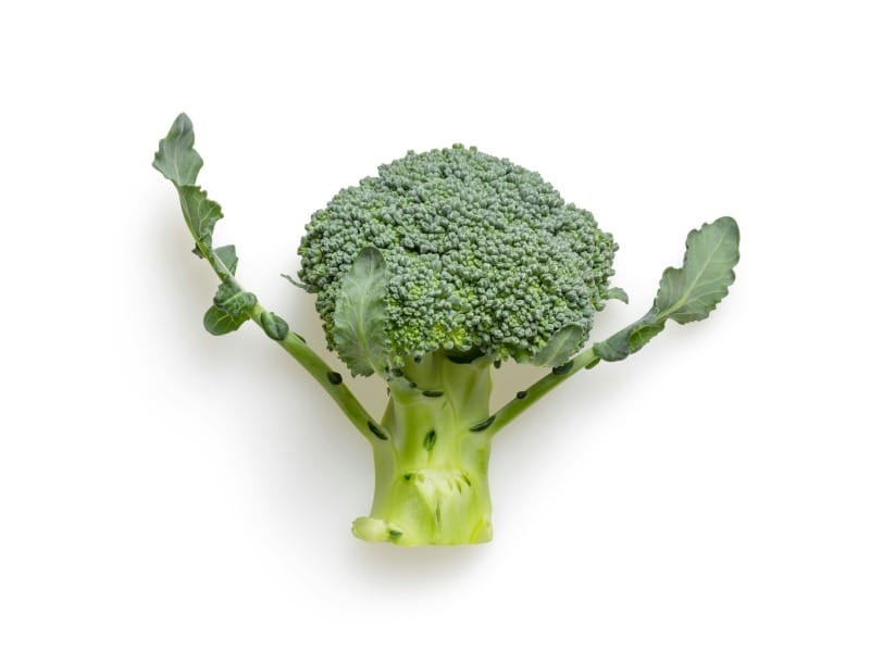 Broccoli supplements: The new superfood in a pill?