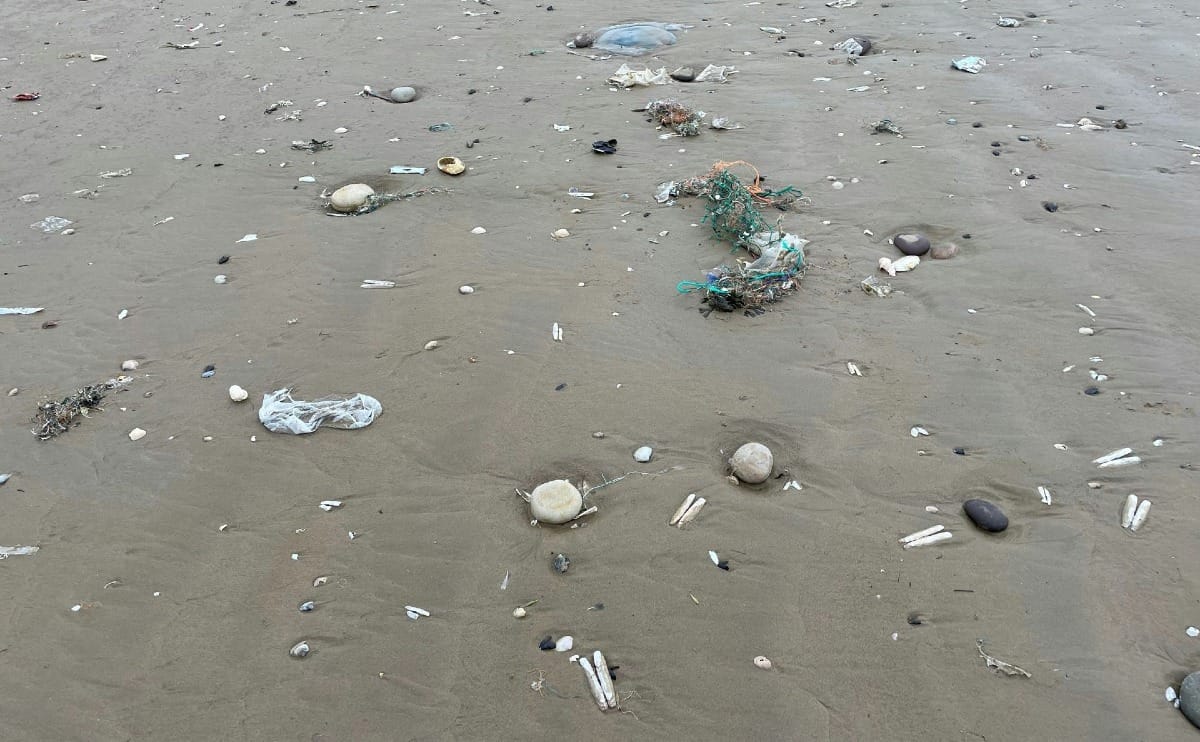 Microplastics: A hidden threat to human health?