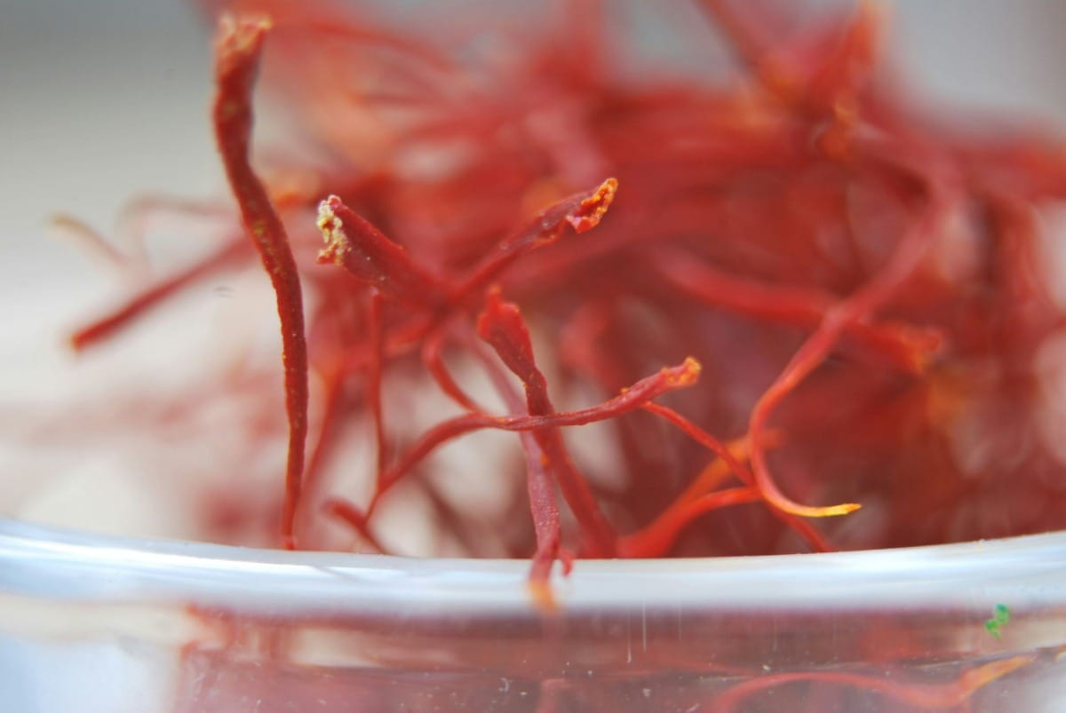 Saffron: The golden spice with powerful health benefits